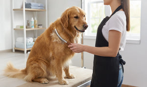 Dematting & Deshedding