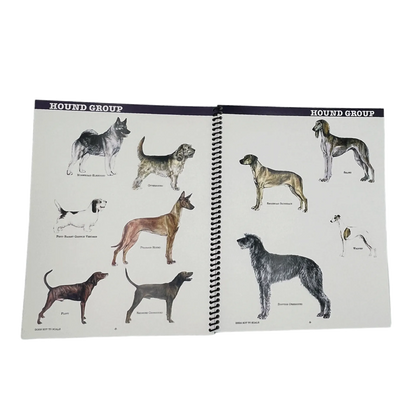 The Client’s Guide to Dog Grooming Styles by Sam Kohl 2nd Edition