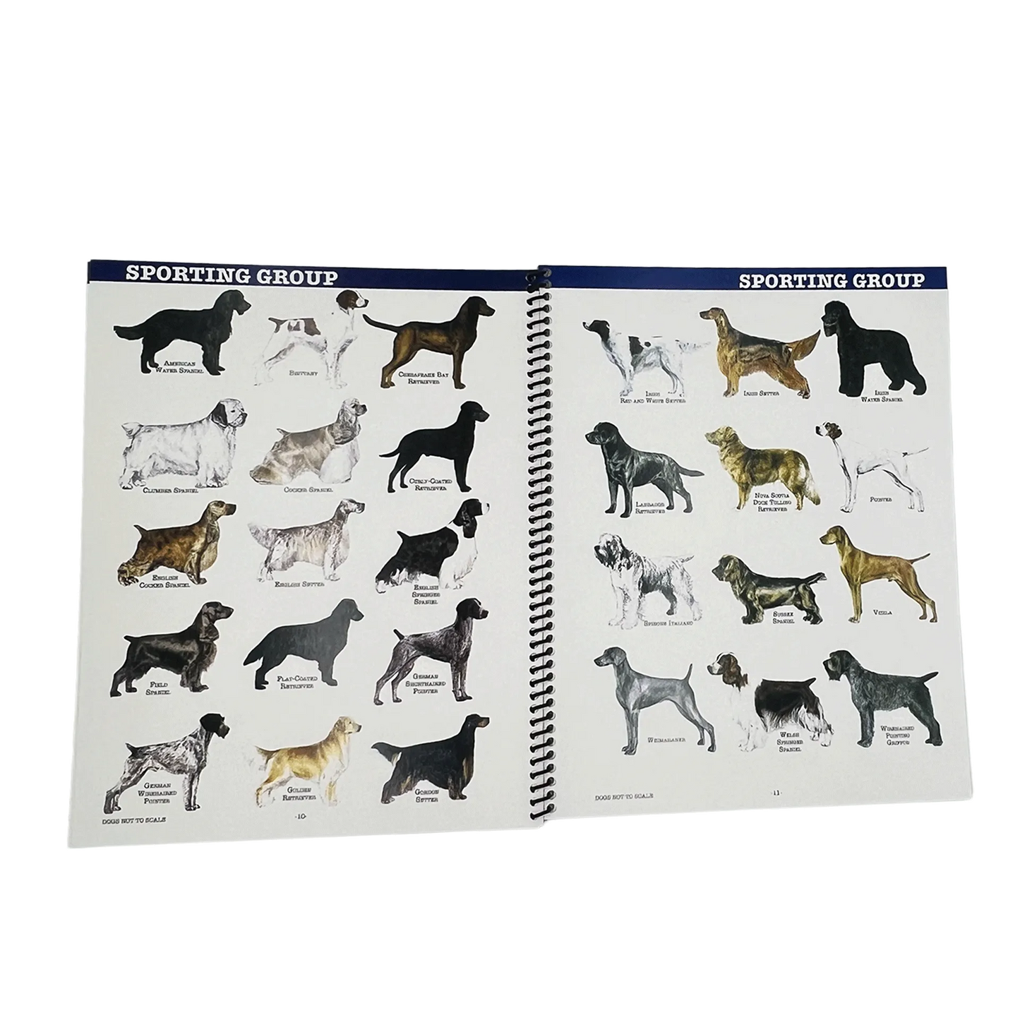 The Client’s Guide to Dog Grooming Styles by Sam Kohl 2nd Edition